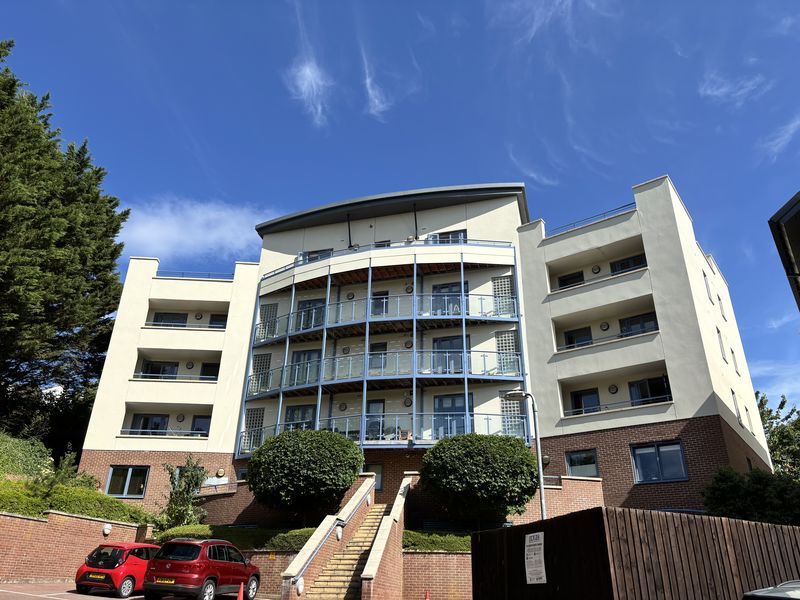 Main Image